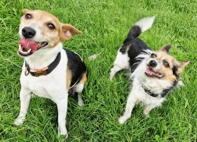Tilly & Ozzy